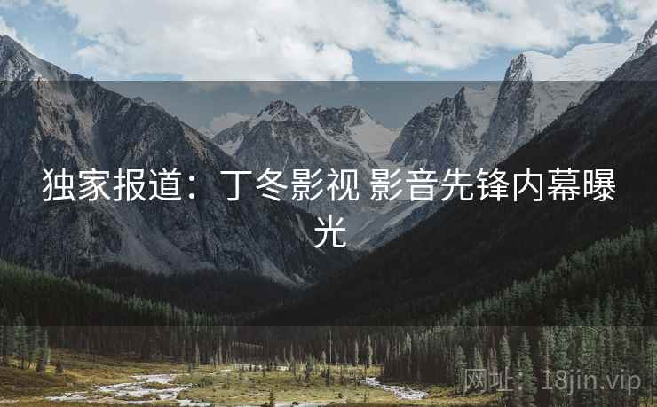 独家报道：丁冬影视 影音先锋内幕曝光