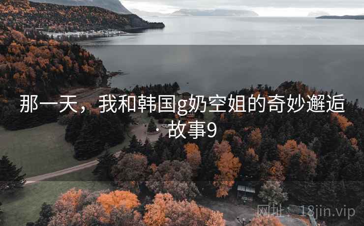 那一天，我和韩国g奶空姐的奇妙邂逅 · 故事9
