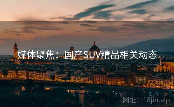 媒体聚焦：国产SUV精品相关动态