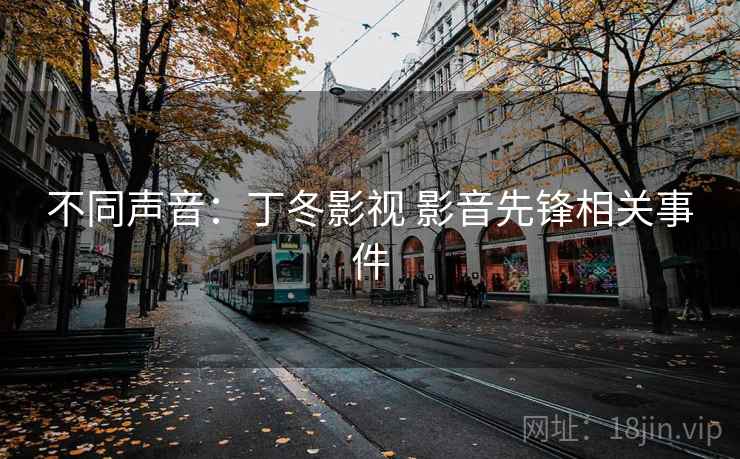不同声音：丁冬影视 影音先锋相关事件